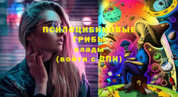 бошки Бородино