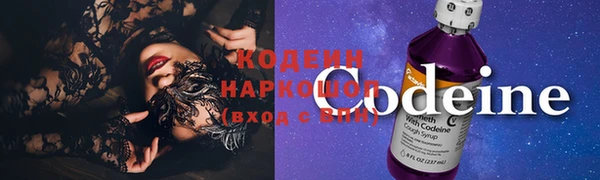 бошки Бородино