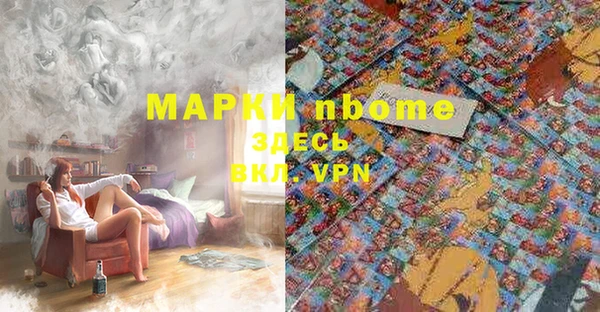 бошки Бородино