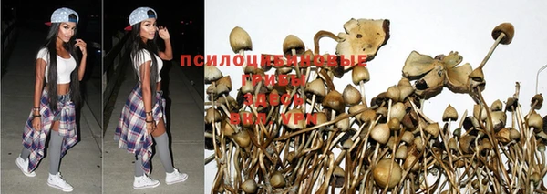 бошки Бородино